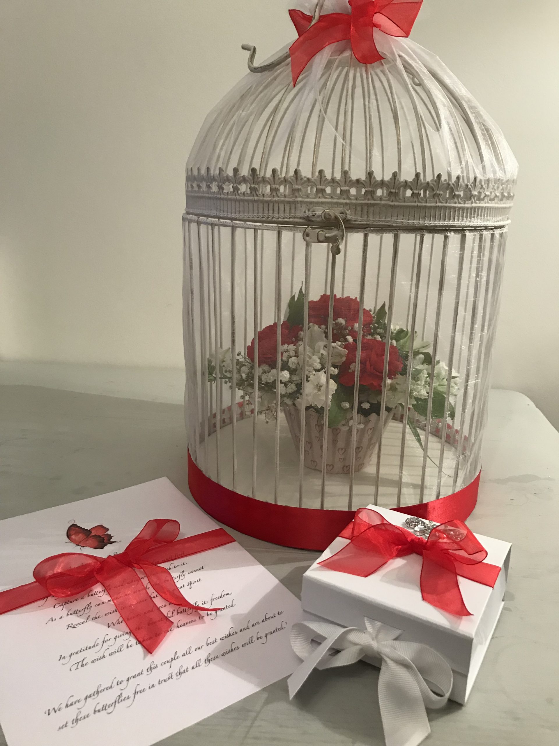 Vintage cage Butterfly release